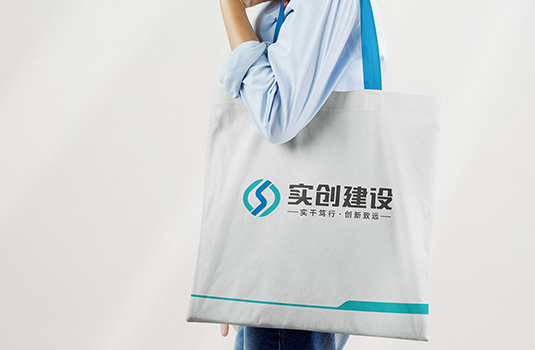 西安LOGO設(shè)計(jì)、VI設(shè)計(jì)——實(shí)創(chuàng)建設(shè)LOGO設(shè)計(jì)、VI設(shè)計(jì)